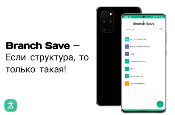 Branch Save Compiler